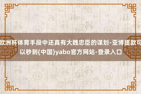 欧洲杯体育手段中还真有大魏忠臣的谋划-亚博提款可以秒到(中国)yabo官方网站-登录入口