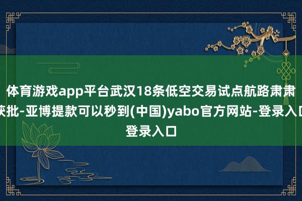 体育游戏app平台武汉18条低空交易试点航路肃肃获批-亚博提款可以秒到(中国)yabo官方网站-登录入口