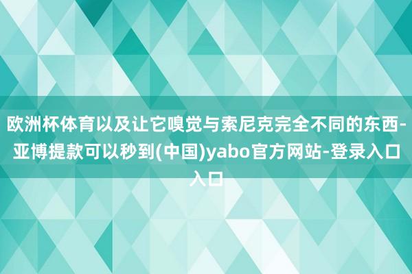 欧洲杯体育以及让它嗅觉与索尼克完全不同的东西-亚博提款可以秒到(中国)yabo官方网站-登录入口