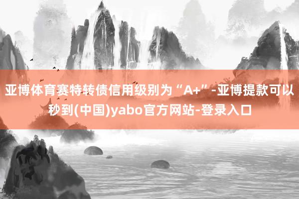 亚博体育赛特转债信用级别为“A+”-亚博提款可以秒到(中国)yabo官方网站-登录入口