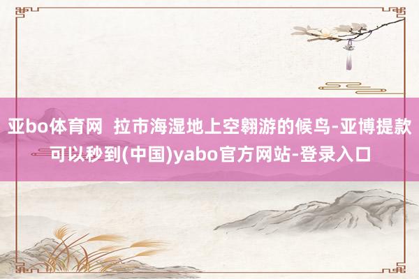 亚bo体育网  拉市海湿地上空翱游的候鸟-亚博提款可以秒到(中国)yabo官方网站-登录入口