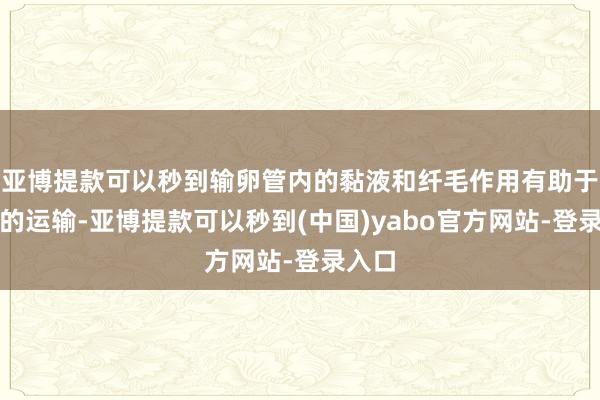 亚博提款可以秒到输卵管内的黏液和纤毛作用有助于卵子的运输-亚博提款可以秒到(中国)yabo官方网站-登录入口