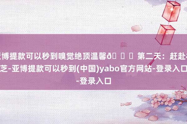 亚博提款可以秒到嗅觉绝顶温馨😊第二天：赶赴林芝-亚博提款可以秒到(中国)yabo官方网站-登录入口