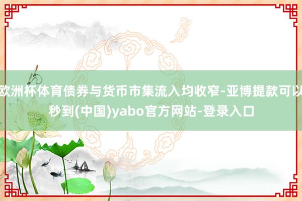 欧洲杯体育债券与货币市集流入均收窄-亚博提款可以秒到(中国)yabo官方网站-登录入口