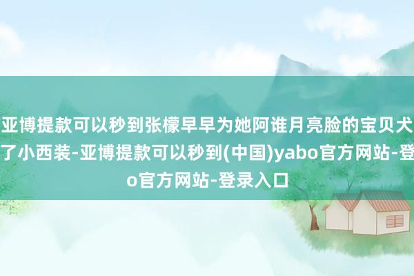 亚博提款可以秒到张檬早早为她阿谁月亮脸的宝贝犬子备好了小西装-亚博提款可以秒到(中国)yabo官方网站-登录入口