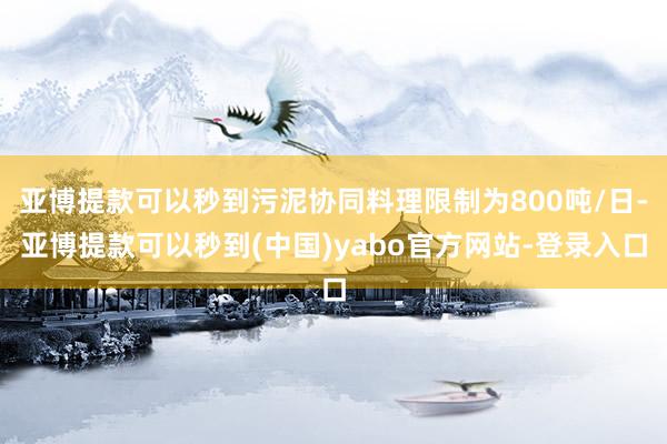 亚博提款可以秒到污泥协同料理限制为800吨/日-亚博提款可以秒到(中国)yabo官方网站-登录入口