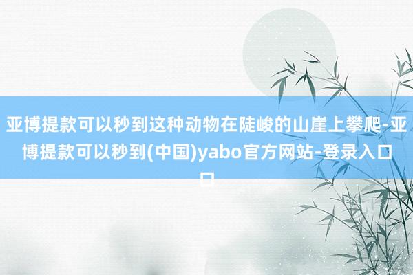 亚博提款可以秒到这种动物在陡峻的山崖上攀爬-亚博提款可以秒到(中国)yabo官方网站-登录入口
