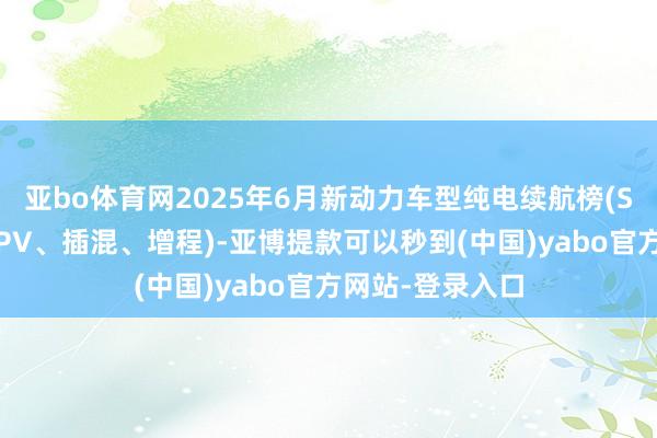 亚bo体育网2025年6月新动力车型纯电续航榜(SUV、轿车、MPV、插混、增程)-亚博提款可以秒到(中国)yabo官方网站-登录入口