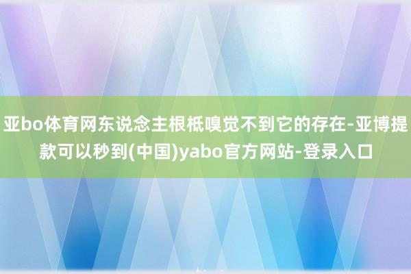 亚bo体育网东说念主根柢嗅觉不到它的存在-亚博提款可以秒到(中国)yabo官方网站-登录入口